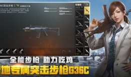 绝地求生手册爆料最新,揭秘游戏内隐藏秘籍与战术攻略