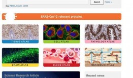 摩德纳病毒爆料视频大全,揭秘病毒真相与传播途径