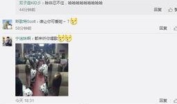 孙浩东微博爆料视频,揭秘背后惊人真相