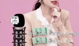 金莎爆料许嵩视频,一段不为人知的音乐传奇