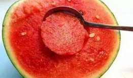 有什么免费吃瓜群吗,畅享娱乐资讯的绿色通道