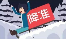 爆料广州白云打假人视频,揭秘假冒伪劣商品打击行动