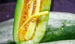 网红吃最贵的瓜,网红挑战最贵瓜果盛宴