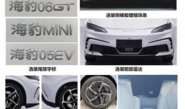 比亚迪海豹爆料视频播放,科技感十足，续航表现抢眼