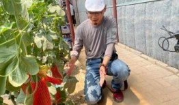 景点吃瓜网红,网红打卡，探寻景点美食新风尚