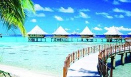 外网爆料巴厘岛事件视频