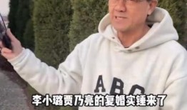 朱叔现身爆料视频播放,揭秘视频背后的惊人真相