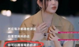 刘大锤爆料张婧仪视频