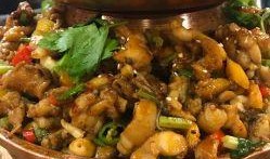 网红蛙吃瓜,揭秘娱乐圈幕后真相