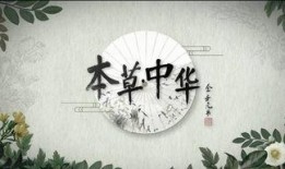 本草中国在线观看,探寻中医药的神奇魅力