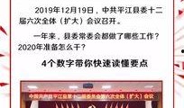平江最新爆料新闻报道,揭秘事件背后惊人真相