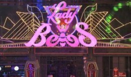 蜜蜂少女队爆料视频大全,青春成长背后的故事与感动