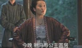 清平乐最新爆料,神秘人物登场，情感纠葛再升级！