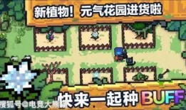 元气骑士爆料视频在哪,探索游戏背后的秘密与惊喜