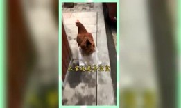 熟悉娱乐吃瓜群众,揭秘明星幕后故事，吃瓜群众独家解读