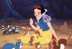 白公主在线观看,穿越时空的奇幻之旅