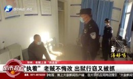 南宁都市频道爆料视频回放,视频回放背后的惊人真相