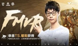 戈娅新皮肤爆料了吗视频,神秘视频曝光，华丽造型引期待