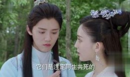 择天记在线观看,穿越奇幻世界，探寻命运之谜