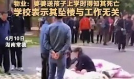坠楼老师爆料视频播放,揭秘教育行业背后真相