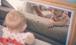 宝宝镜子爆料图片搞笑视频,镜子里的宝宝笑料百出