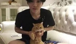 崔子千男友爆料结婚视频,甜蜜瞬间引网友热议！”