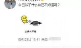 匿名爆料故事视频播放网站,揭秘网络背后的秘密世界