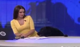 四美最新爆料新闻直播,最新爆料新闻背后的故事