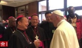 教宗在线观看,全球信徒共襄盛举的在线盛宴