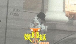 卓伟爆料张子怡视频播放,真相背后引人深思