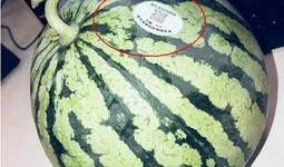 网红们吃瓜,揭秘娱乐圈幕后故事