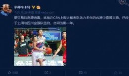 每日篮球最新爆料直播在线观看