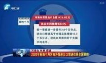 河南媒体新闻爆料网红视频,揭秘幕后真相