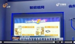 山东卫视 爆料新闻报道,揭秘背后惊人真相！