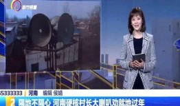 河南村长爆料事件视频,揭开乡村腐败黑幕