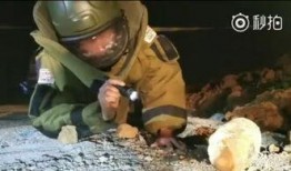 炮弹专家 在线观看,揭秘军事科技巅峰之作