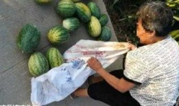 金乡吃瓜最新事件爆料,揭秘背后惊人真相！