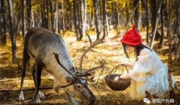 网红驯鹿吃瓜视频在线观看,萌态十足引网友热议