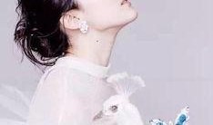 杨洋刘亦菲最新爆料视频,甜蜜互动引粉丝尖叫