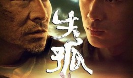 网友爆料失孤人员视频,网友助力寻找失踪人员