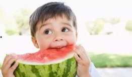 娱乐君吃瓜老绵羊,揭秘老绵羊背后的故事