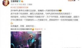 戈娅新皮肤爆料了吗视频,神秘视频曝光，华丽造型引期待