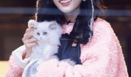 吴宣仪事件最新爆料