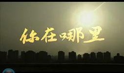 今天爆料新闻娱乐视频,今日娱乐爆料视频幕后真相