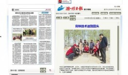 安徽滁州新闻爆料视频,视频揭露当地事件引发关注