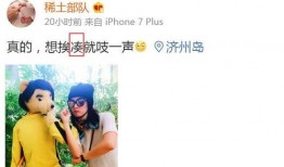 卓伟爆料张子怡视频播放,真相背后引人深思