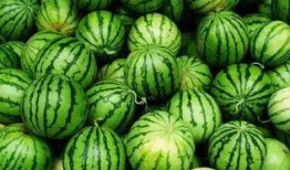 有什么免费吃瓜群吗,畅享娱乐资讯的绿色通道