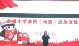 东坡爆料视频大全,视频大全揭秘娱乐圈幕后真相