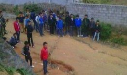 广西爆料新闻,揭开神秘事件背后的真相