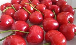 樱桃全集在线观看